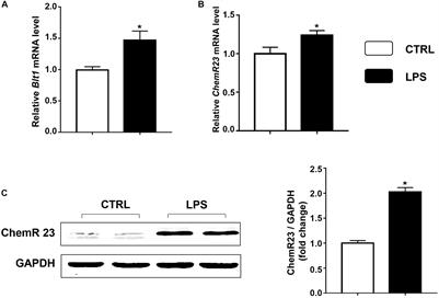 The Anti-inflammatory Mediator Resolvin E1 Protects Mice Against Lipopolysaccharide-Induced Heart Injury